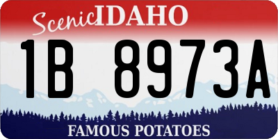 ID license plate 1B8973A
