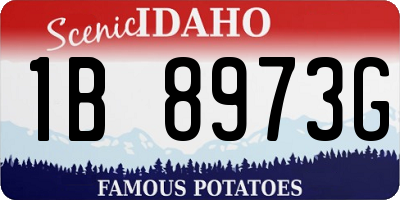 ID license plate 1B8973G