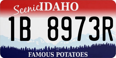 ID license plate 1B8973R