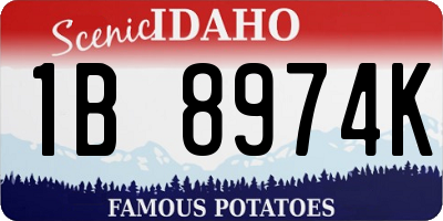 ID license plate 1B8974K