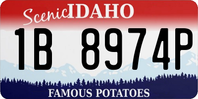 ID license plate 1B8974P