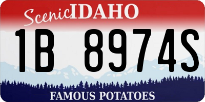 ID license plate 1B8974S