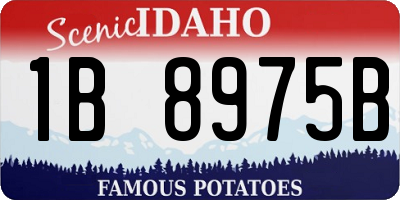 ID license plate 1B8975B