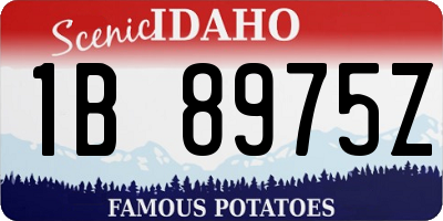 ID license plate 1B8975Z