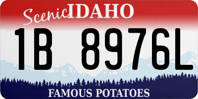 ID license plate 1B8976L