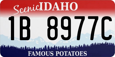 ID license plate 1B8977C