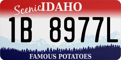 ID license plate 1B8977L