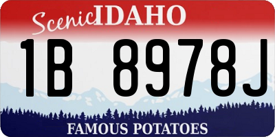 ID license plate 1B8978J