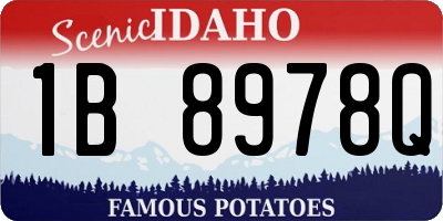 ID license plate 1B8978Q