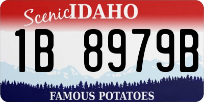 ID license plate 1B8979B