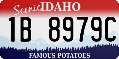 ID license plate 1B8979C