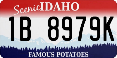 ID license plate 1B8979K