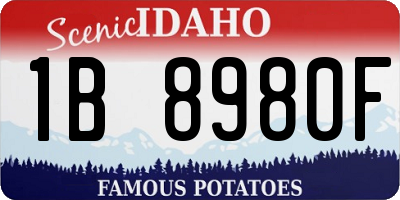 ID license plate 1B8980F