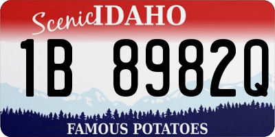 ID license plate 1B8982Q