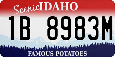 ID license plate 1B8983M