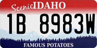 ID license plate 1B8983W