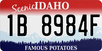 ID license plate 1B8984F