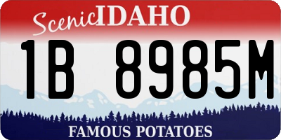ID license plate 1B8985M