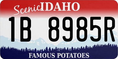 ID license plate 1B8985R