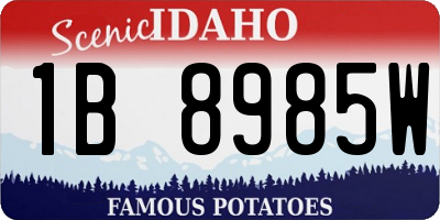 ID license plate 1B8985W