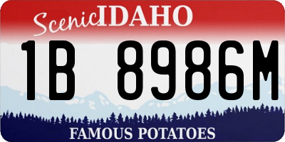 ID license plate 1B8986M