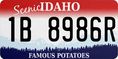 ID license plate 1B8986R
