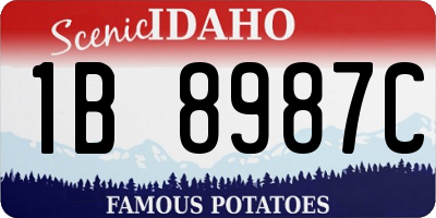 ID license plate 1B8987C