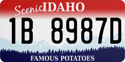 ID license plate 1B8987D