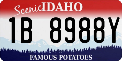 ID license plate 1B8988Y