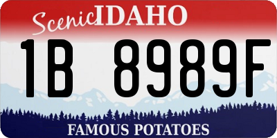 ID license plate 1B8989F