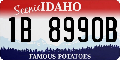 ID license plate 1B8990B