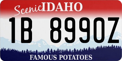 ID license plate 1B8990Z