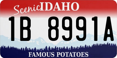 ID license plate 1B8991A