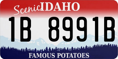ID license plate 1B8991B