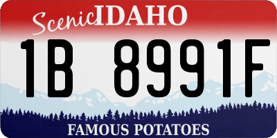 ID license plate 1B8991F