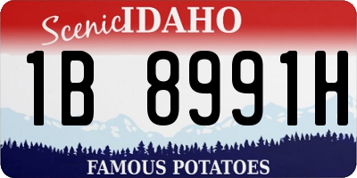ID license plate 1B8991H