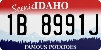 ID license plate 1B8991J