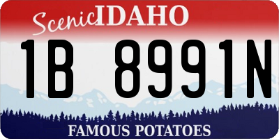 ID license plate 1B8991N