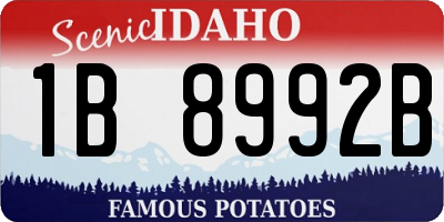 ID license plate 1B8992B