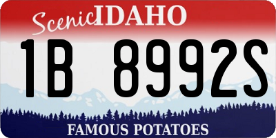 ID license plate 1B8992S