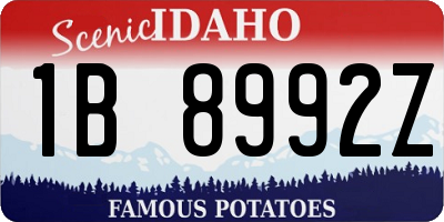 ID license plate 1B8992Z