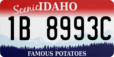 ID license plate 1B8993C