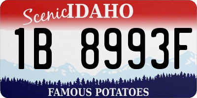 ID license plate 1B8993F