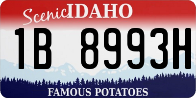 ID license plate 1B8993H
