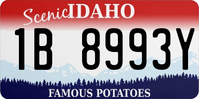 ID license plate 1B8993Y