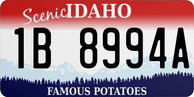 ID license plate 1B8994A