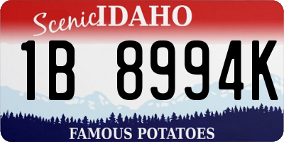 ID license plate 1B8994K