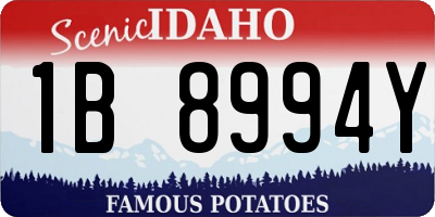 ID license plate 1B8994Y
