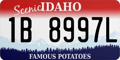 ID license plate 1B8997L