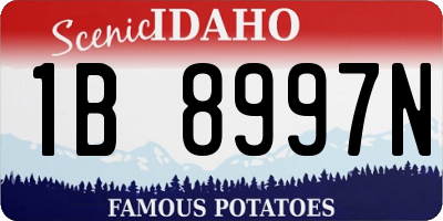 ID license plate 1B8997N